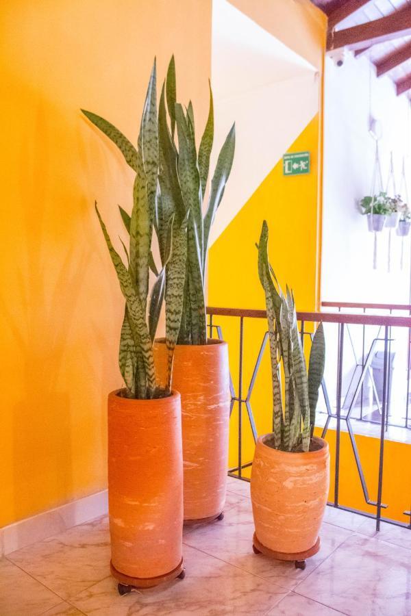 Hotel Porton Colonial Medellín Eksteriør billede